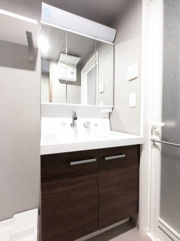 アルティザ上野毛0101号室 洗面