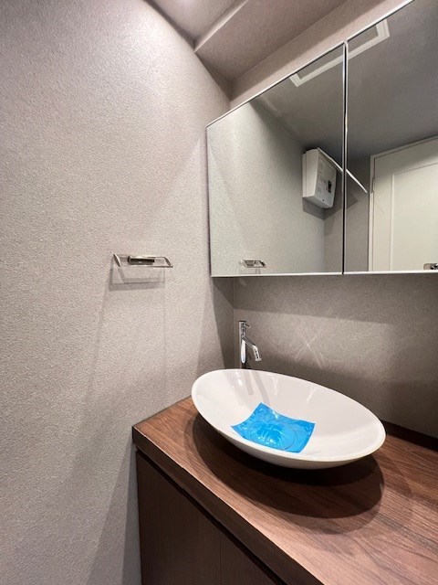 レジディア神田東12階 洗面