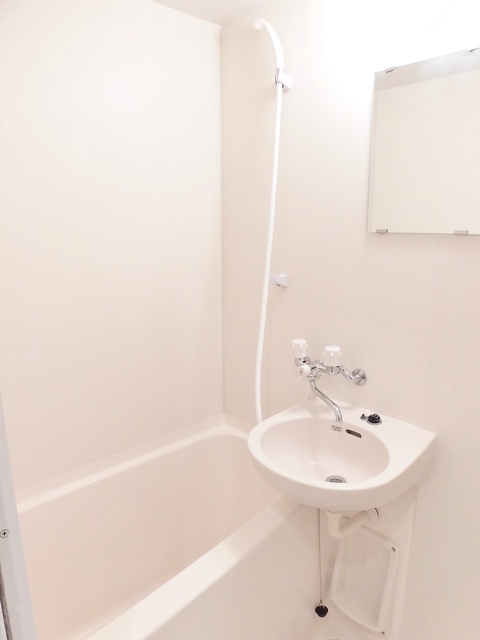 コートフローラ0207号室 洗面