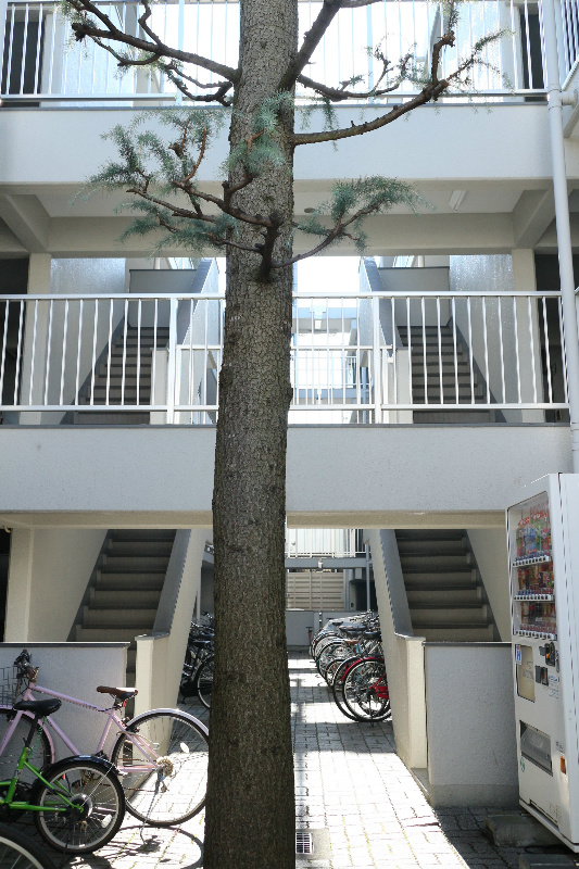 メゾンエクレーレ江古田4階 部屋その他