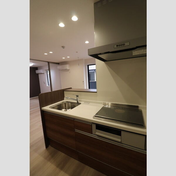 ユートリー　Ⅲ205号室 システムキッチン