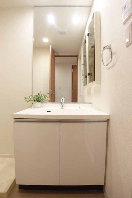 グレイスコート志村三丁目2階 洗面