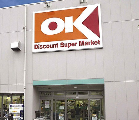 テルージュ菊名Ⅱ0101号室 【スーパー】OKストア妙蓮寺店まで923ｍ