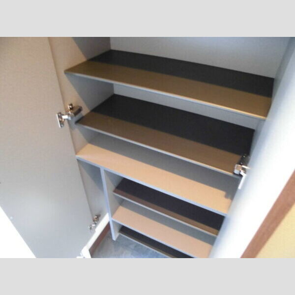 ラ・ピーノ　6203号室 シューズボックス