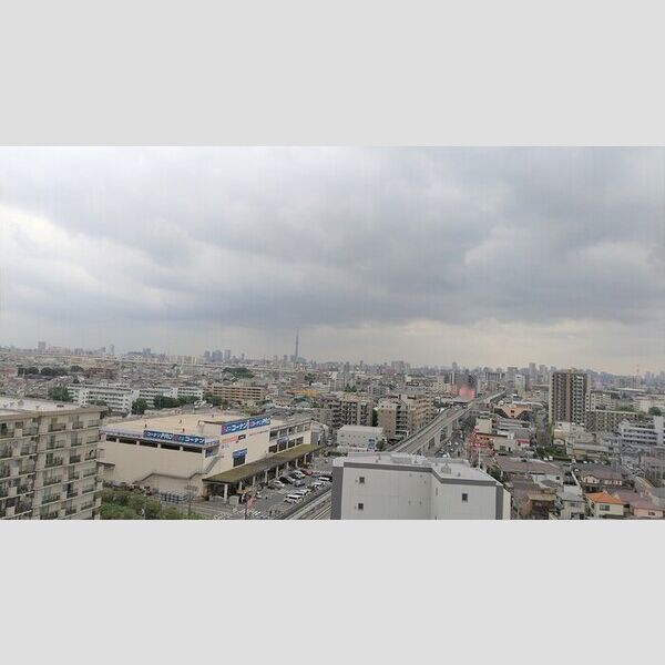 ロイヤルKJ1403号室 眺望