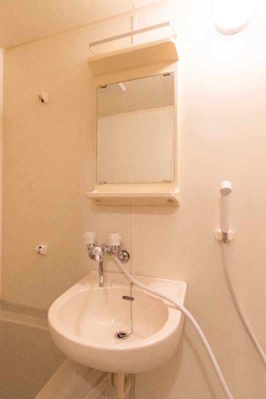 共立リライアンス八王子Ⅱ 洗面