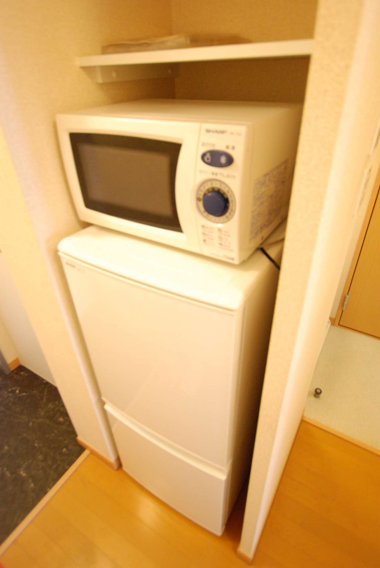 レオネクストヒラサワ105号室 部屋その他