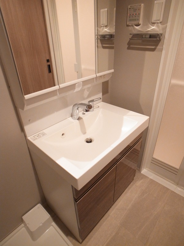 ロイジェント新高島平3階 洗面