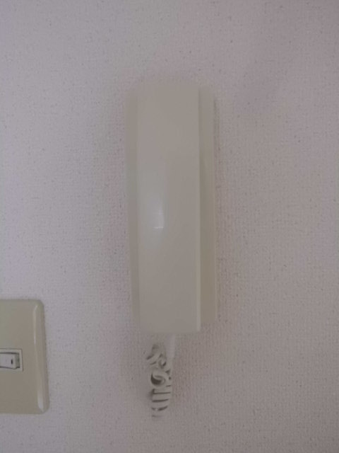 メゾン・ド・ノアＡ0202号室 セキュリティ