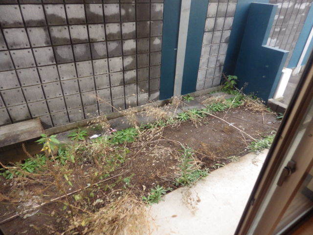 Ｋ’ｓ　Ｈｏｕｓｅ0101号室 庭