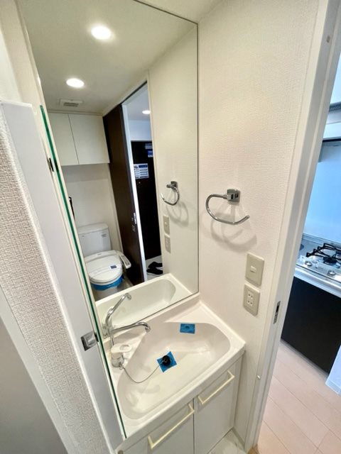 レジディア市谷薬王寺12階 洗面