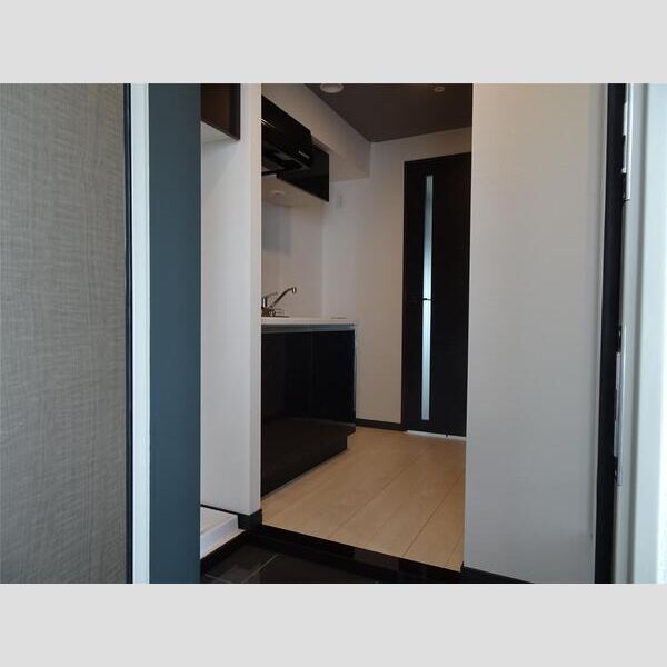 MAXIV大山TRE1101号室 玄関