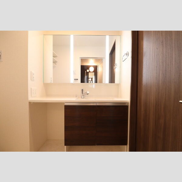 Premier 洗髪洗面化粧台