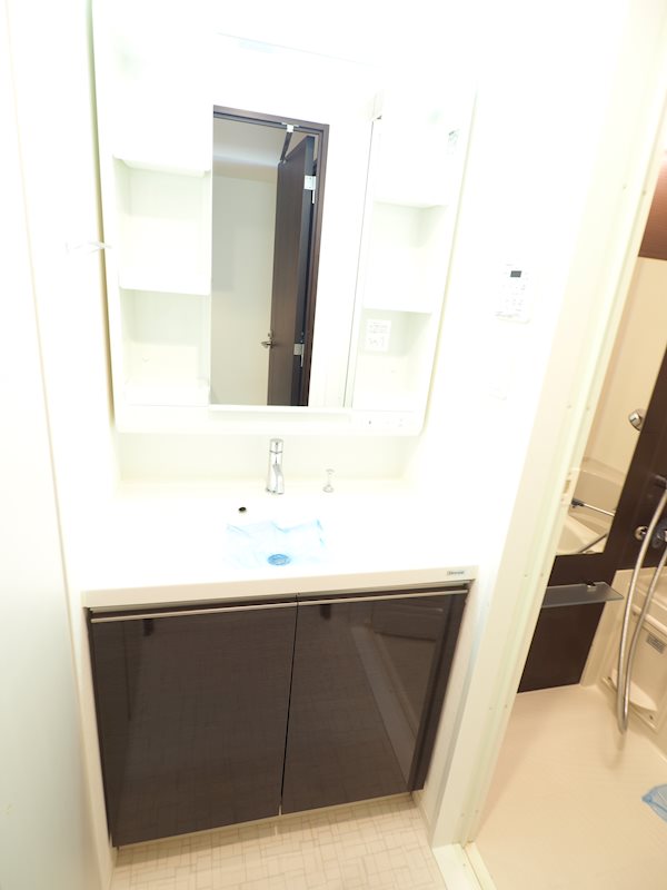 レジディア新御徒町Ⅱ5階 洗面