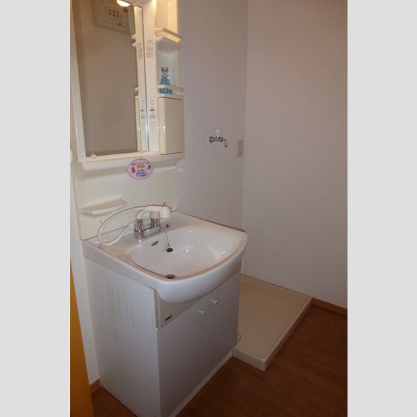 アメジストセージ 洗面