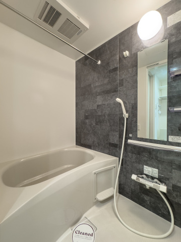 スカイルーチェ川口芝中田103号室 お風呂