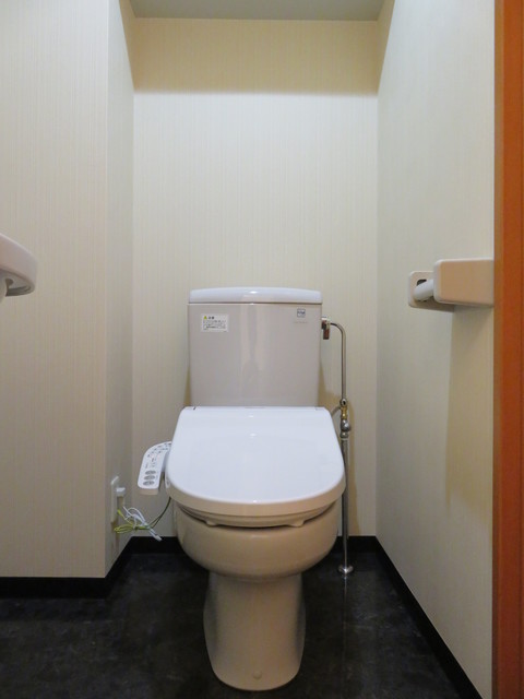 グランド・ガーラ芝公園5階 落ち着いたトイレです