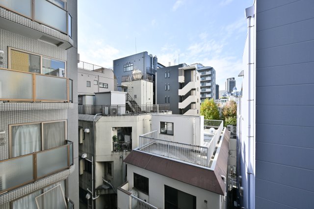 リビオメゾン西麻布502号室 展望