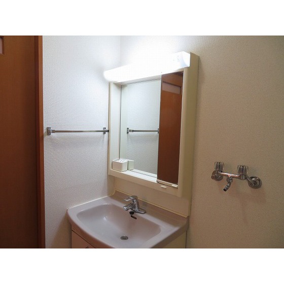 エコタワーバオバブ0201号室 独立洗面台