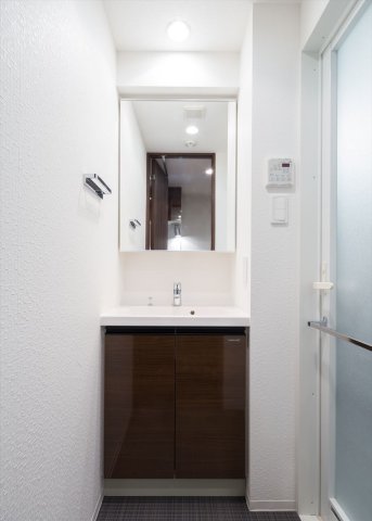 DIPS小竹向原502号室 洗面