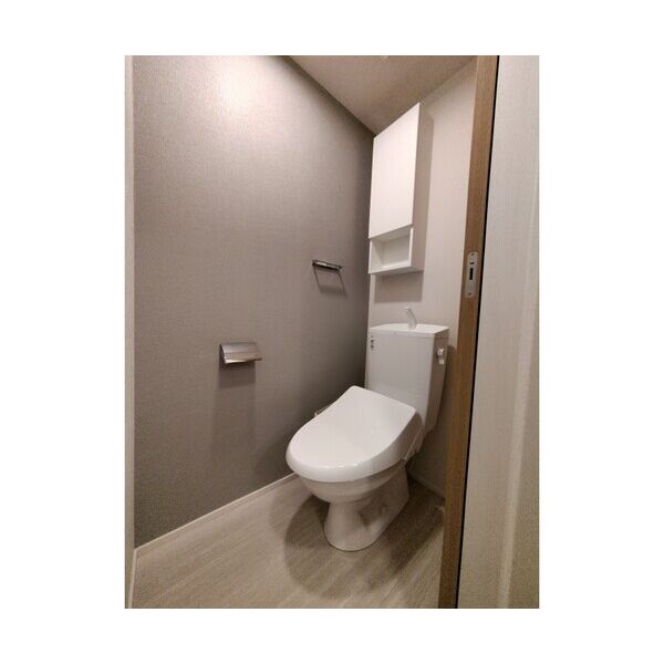 アンソレイユ明大前101号室 トイレ