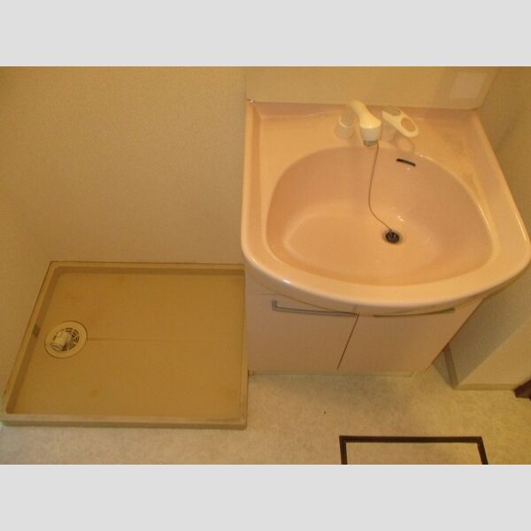 ピュア　調103号室 洗髪洗面化粧台、室内洗濯機置場