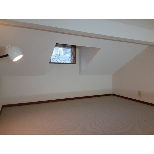 スカイコーポラス0203号室 ロフト