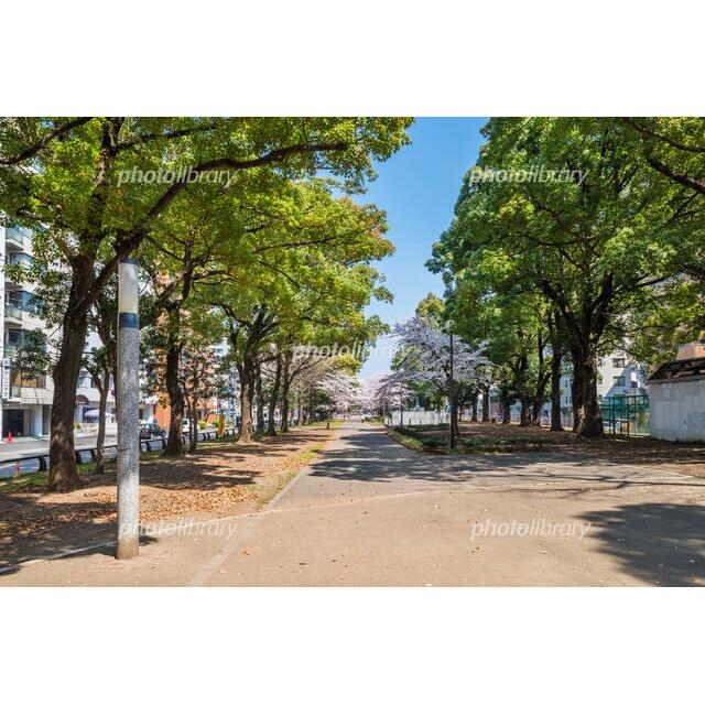 エクセレントアフィー横浜橋 周辺