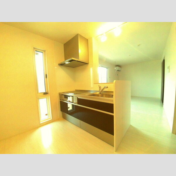 maison楓Ⅲ システムキッチン