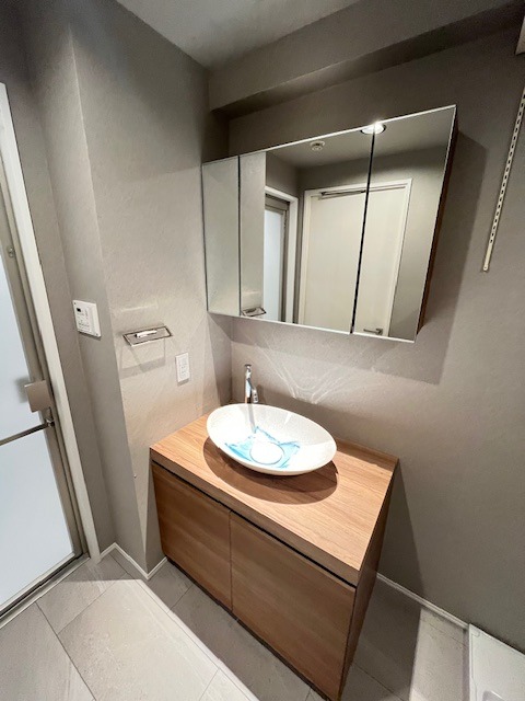 レジディア文京音羽10階 洗面