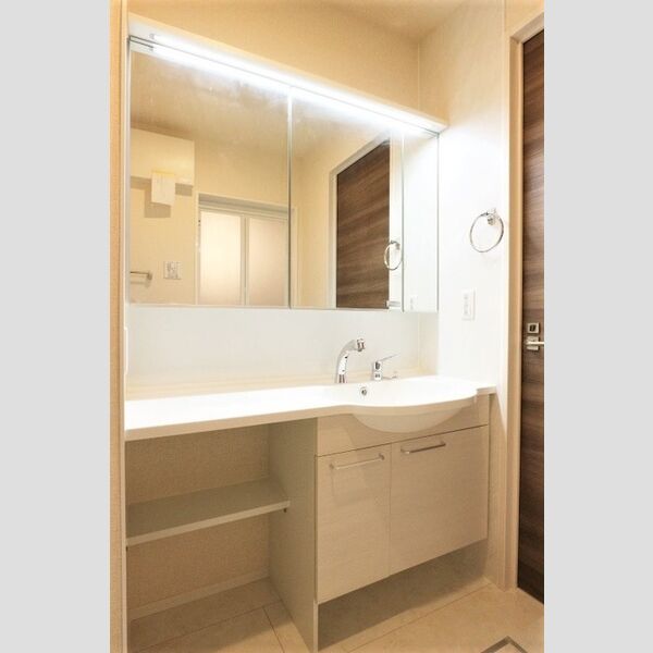 ハイピクチャー　　D棟 洗髪洗面化粧台