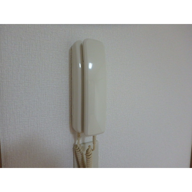 ルミエール105号室 インターホン