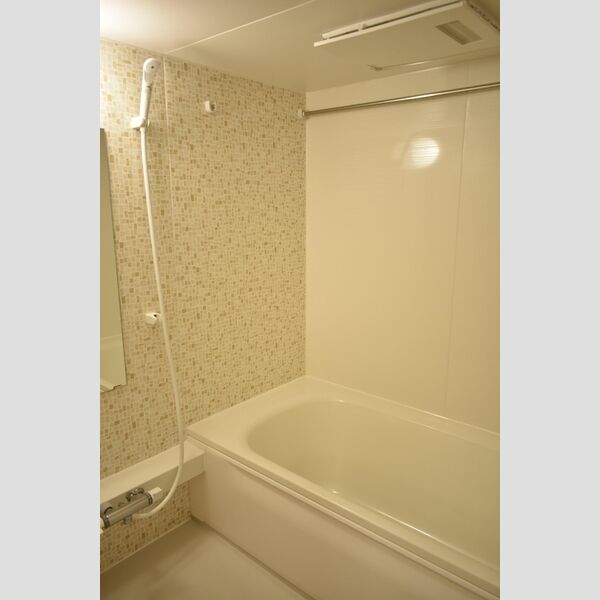 ダイヤソン 浴室