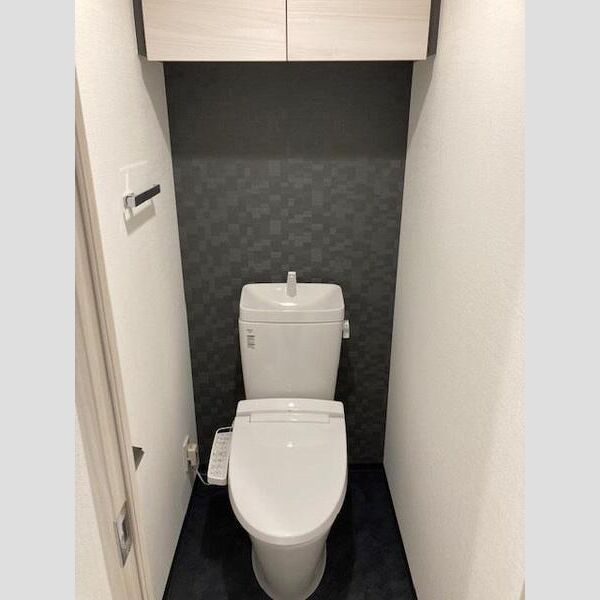 S-RESIDENCE菊川rivie501号室 リビング