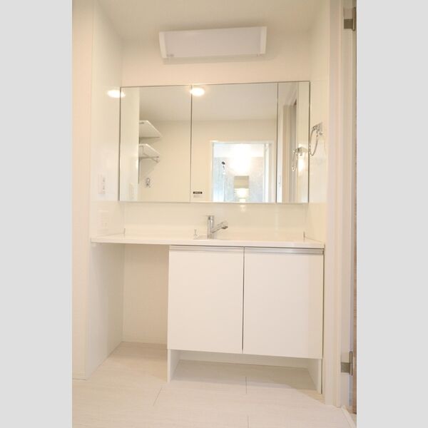 エクセリア上石原207号室 洗面