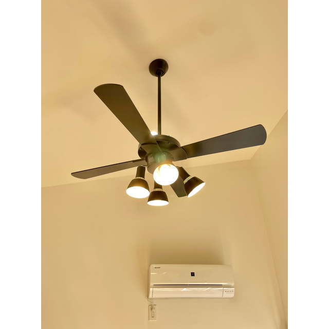 プロシード１０５５館202号室 ☆シーリングファンライト