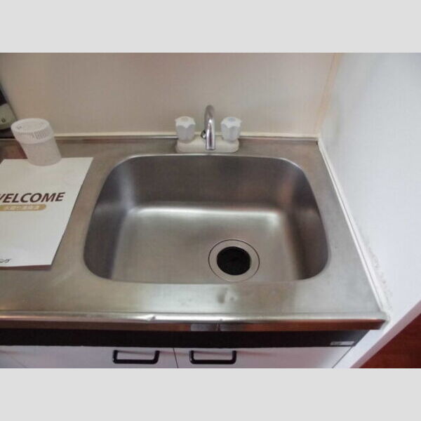 リアルコート　Ⅰ キッチンシンク