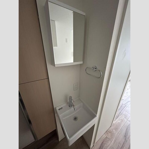 MAXIVbasic蒲田 洗面