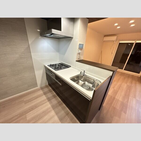 グリーンハウス302号室 システムキッチン