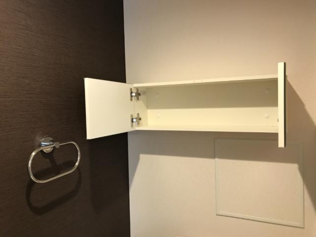 ナチュラルファースト206号室 トイレ