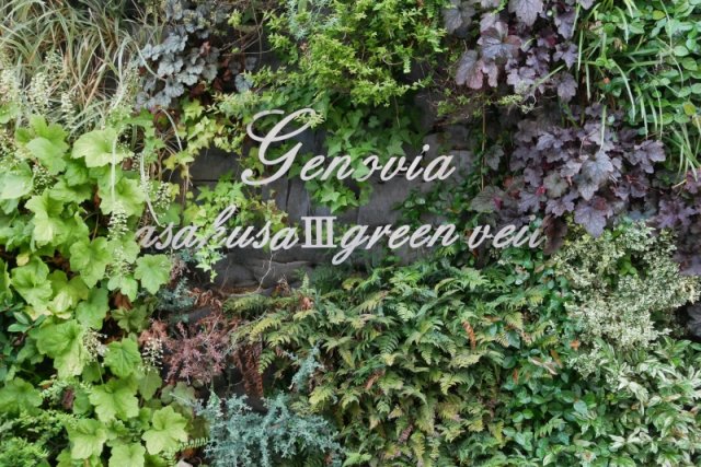 ジェノヴィア浅草Ⅲグリーンヴェール8階 外観