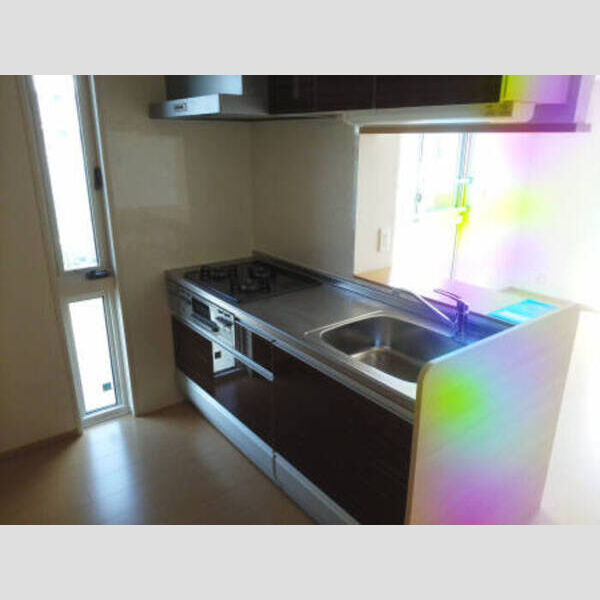 ウェールス久地 201 対面キッチン