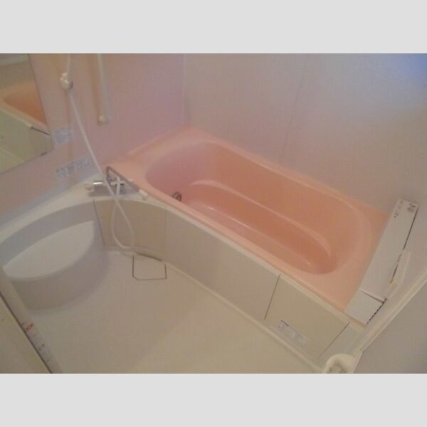 ローズコート宝町 浴室