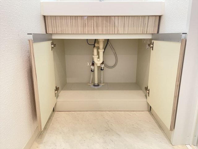 DIPS神楽坂905号室 洗面