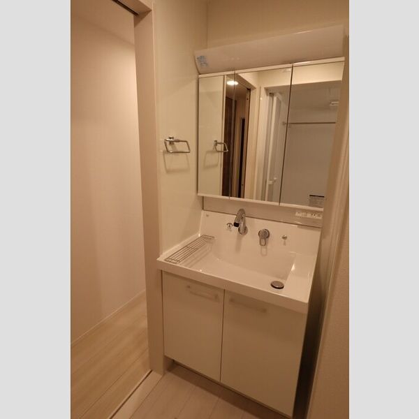 レジデンスヒルトップⅨ 洗面所