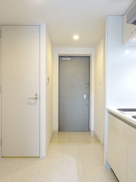 ハーモニーレジデンス池袋メトロゲート504号室 その他