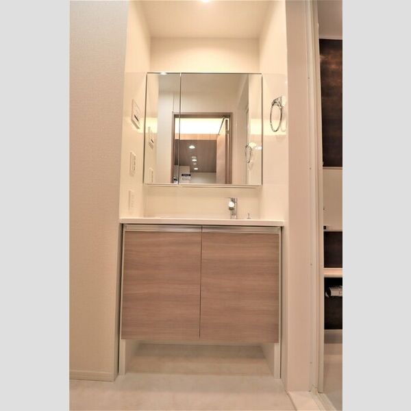 セレスティア池袋立教通り102号室 洗面所