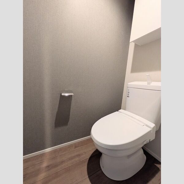 ロイジェント潮見0704号室 トイレ
