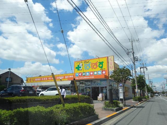 アイリスガーデンⅡ どらっぐぱぱす伊興町店まで580ｍ