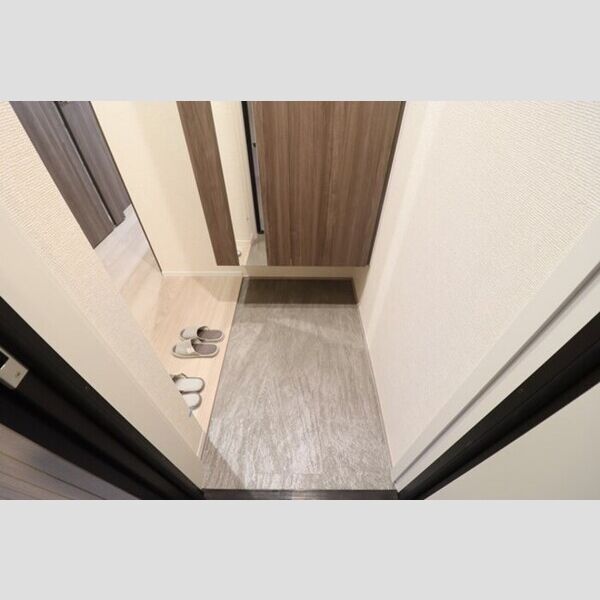 STELLA新松戸201号室 玄関